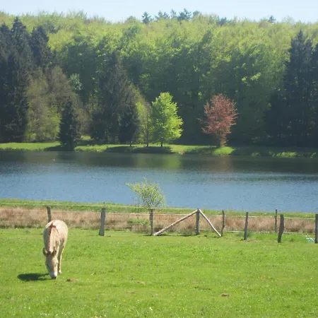In The Heart Of The Ardennes Holiday home Libramont-Chevigny
