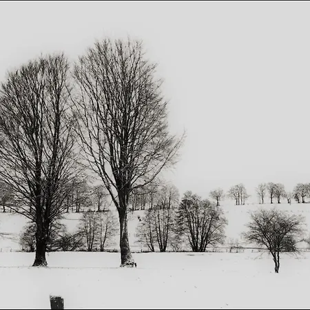 Holiday home In The Heart Of The Ardennes *
