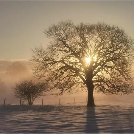 In The Heart Of The Ardennes *