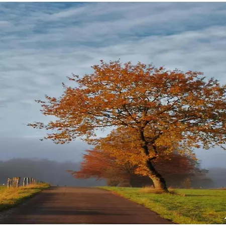 In The Heart Of The Ardennes בית נופש