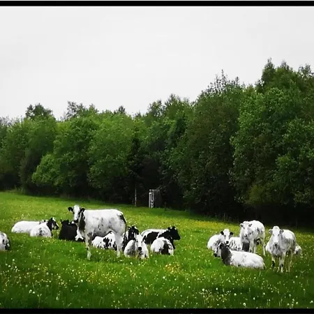 בית נופש In The Heart Of The Ardennes *