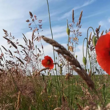 Stone Garden Haven *